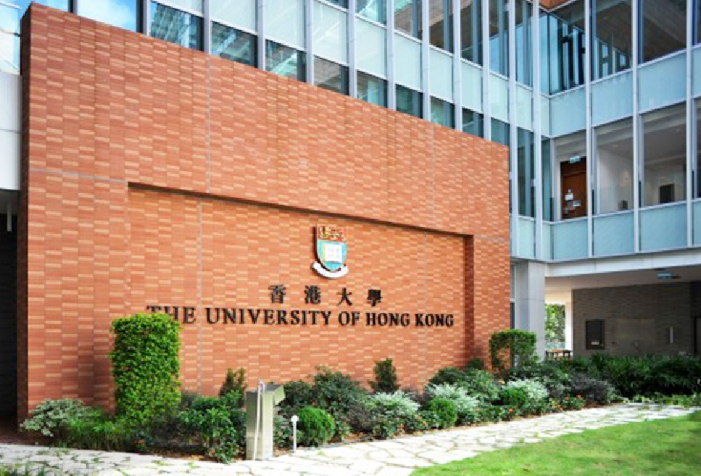 香港大学项目案例