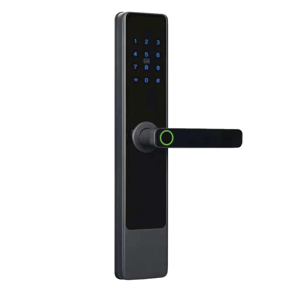 LoRa联网门锁-DY4018