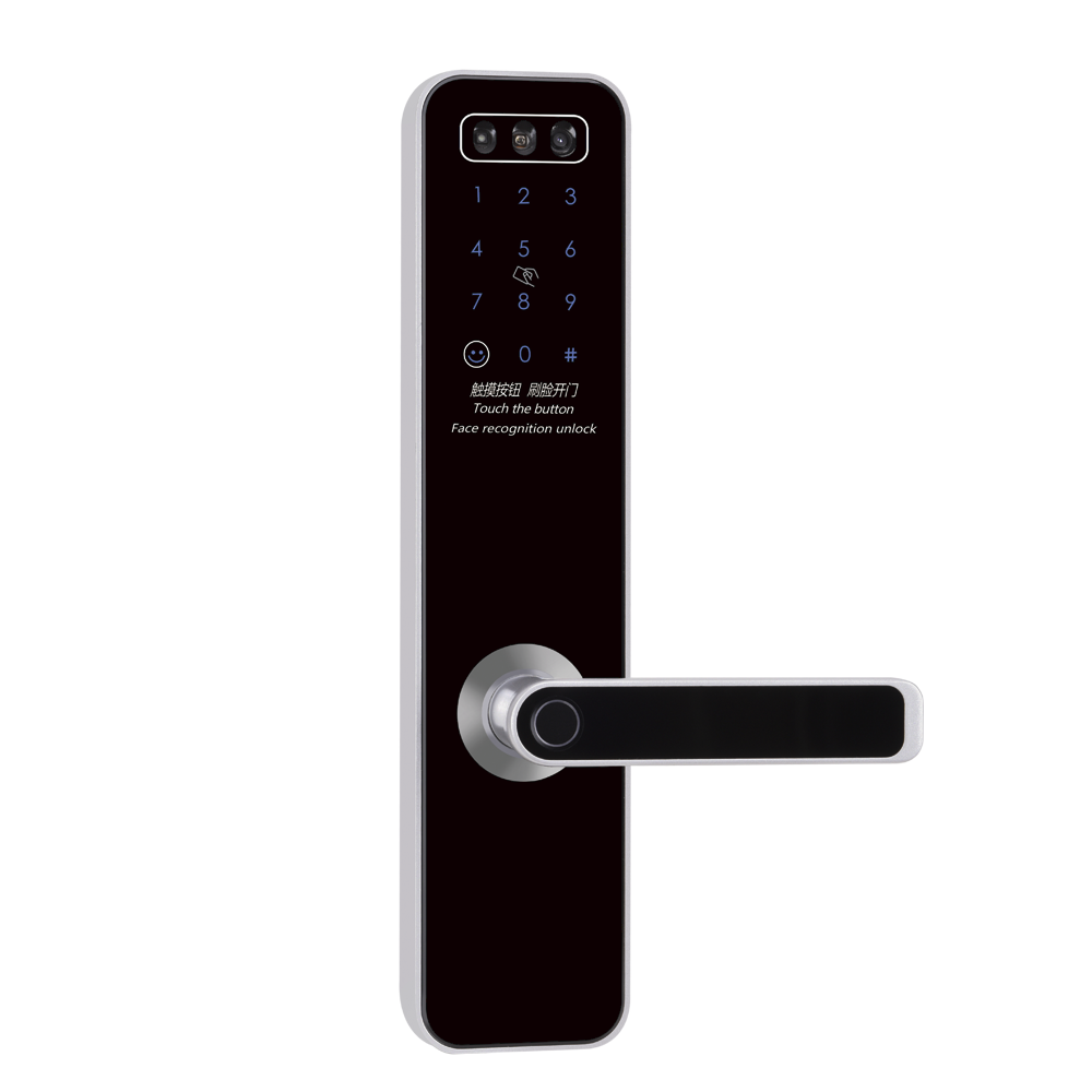 LoRa联网门锁-DY4019-RL