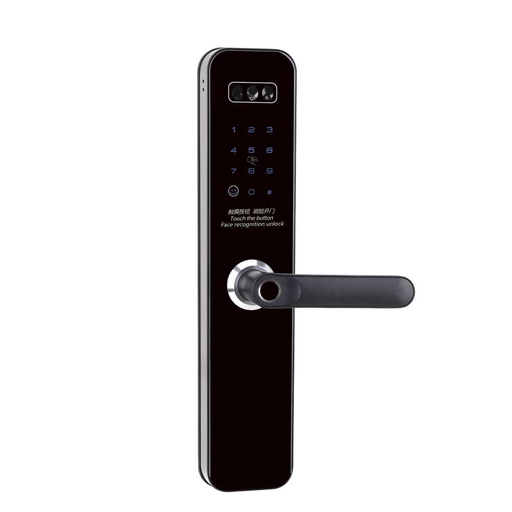 LoRa联网门锁-DY50-RL